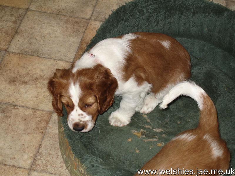 2009-03-31 08.JPG - Hal